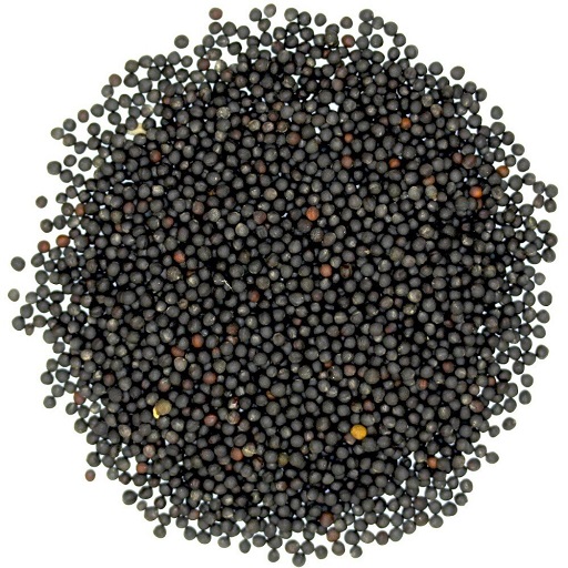 Organic Spring Canola Seeds